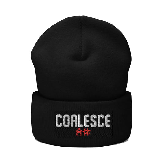 Coalesce Beanie Japanese writing